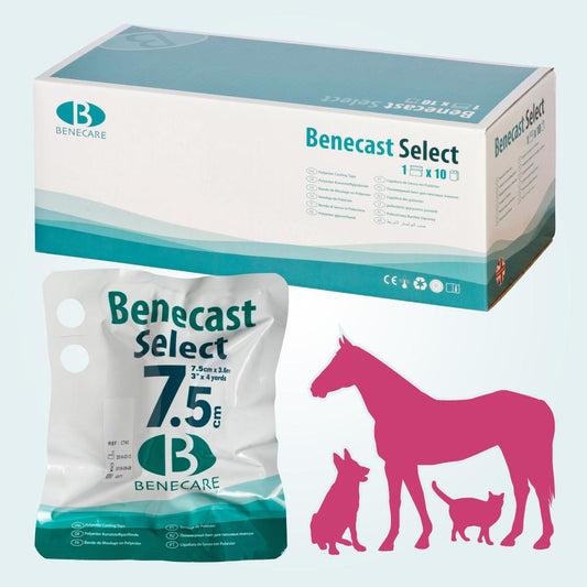 BeneCast Select (Polyester) Casting Tape (For Pets, Vets & Horses)